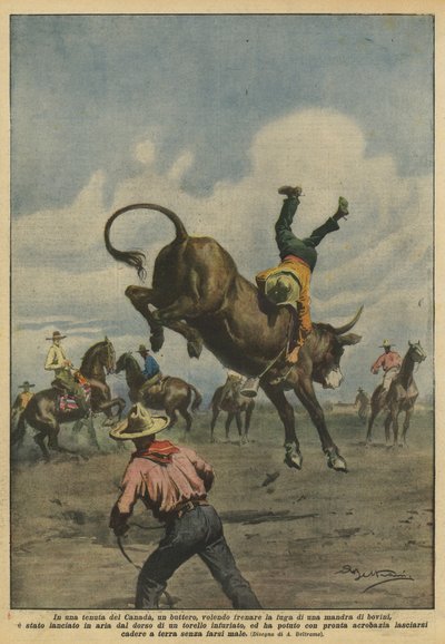 En una finca de Canadá, un vaquero, queriendo frenar la fuga de una manada de bovinos de Achille Beltrame