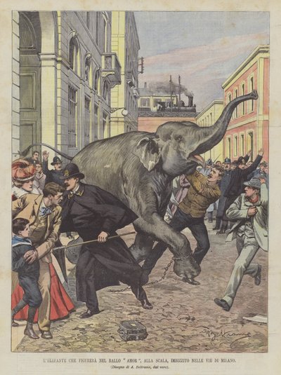 El Elefante que Figurará en el Baile Amor, en la Scala, Enloquecido en las Calles de Milán de Achille Beltrame