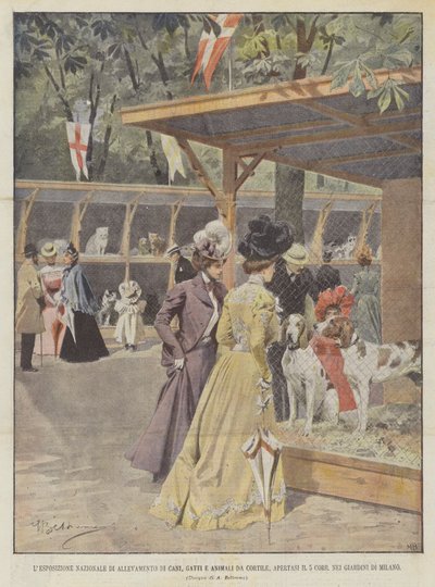La Exposición Nacional de Cría de Perros, Gatos y Animales de Corral, inaugurada el 5 del corriente de Achille Beltrame