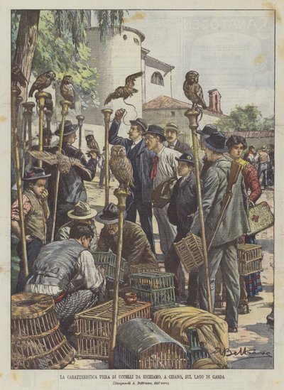 La característica feria de aves de reclamo en Cisano, en el Lago de Garda de Achille Beltrame