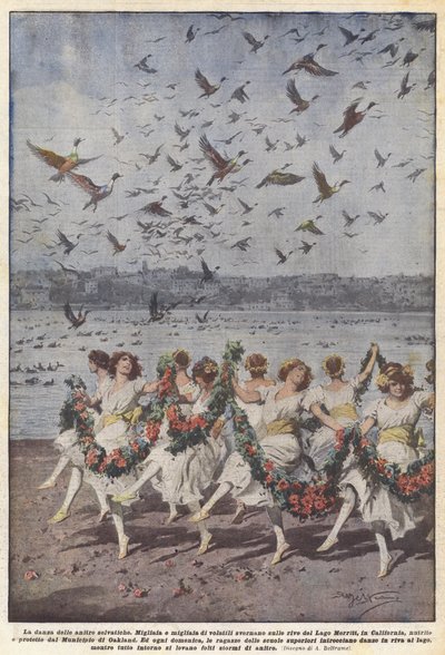 La danza de los patos salvajes de Achille Beltrame