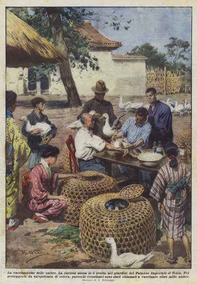 La vacunación de los patos de Achille Beltrame