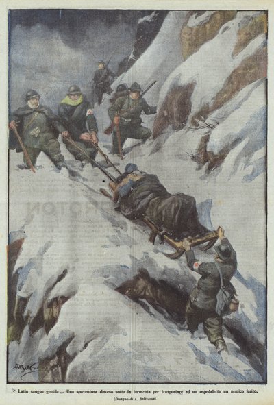 Sangre gentil latina de Achille Beltrame
