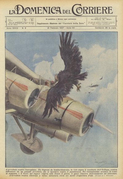 El buitre contra el avión de Achille Beltrame