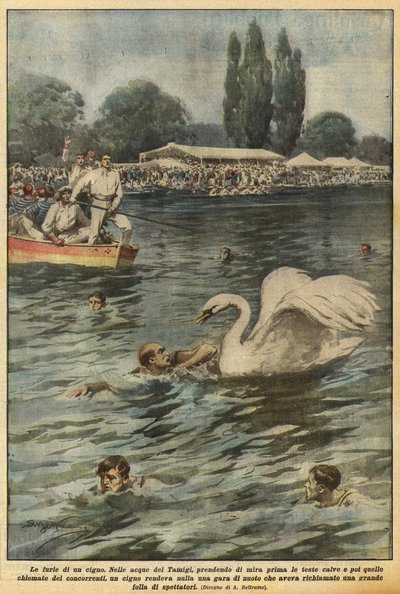 Las furias de un cisne de Achille Beltrame