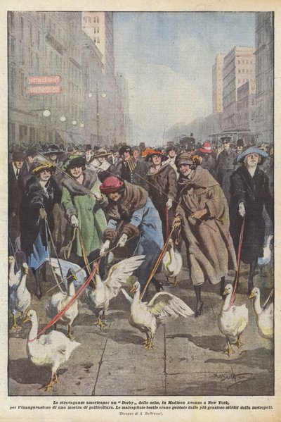Las extravagancias americanas, un Derby de gansos, en Madison Avenue en Nueva York, para la inauguración de Achille Beltrame