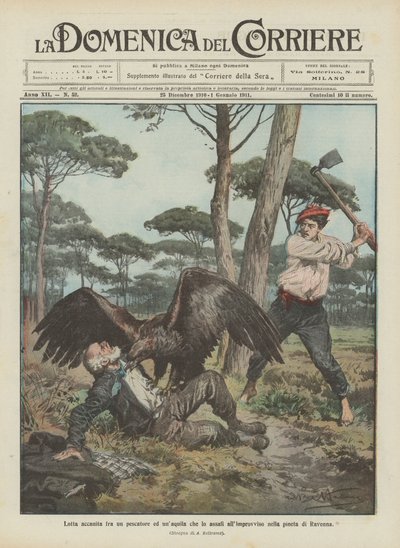 Lucha encarnizada entre un pescador y un águila que lo ataca repentinamente en el pinar de Rávena de Achille Beltrame
