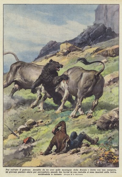 Para salvar al dueño de Achille Beltrame