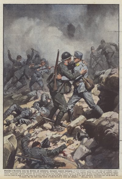 Por qué Austria no tiene derecho a existir, sangre contra sangre de Achille Beltrame