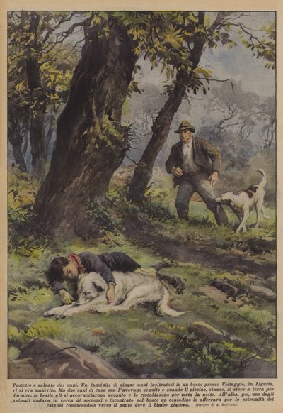 Protegido y salvado por los perros de Achille Beltrame