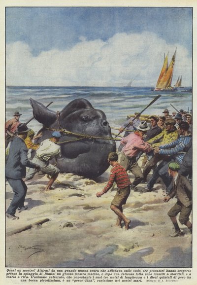 ¡Casi un monstruo! de Achille Beltrame