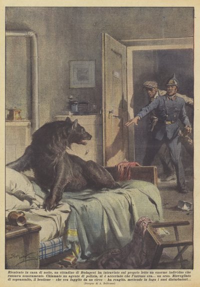 Al regresar a casa de noche, un ciudadano de Budapest vio en su cama un enorme de Achille Beltrame