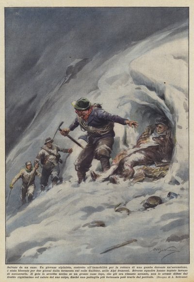 Salvado por un perro de Achille Beltrame