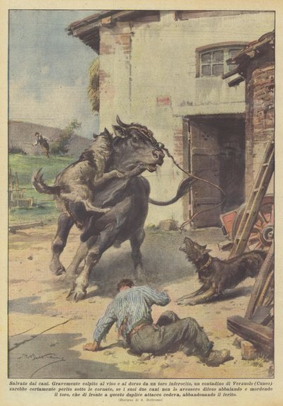 Salvado por los perros de Achille Beltrame