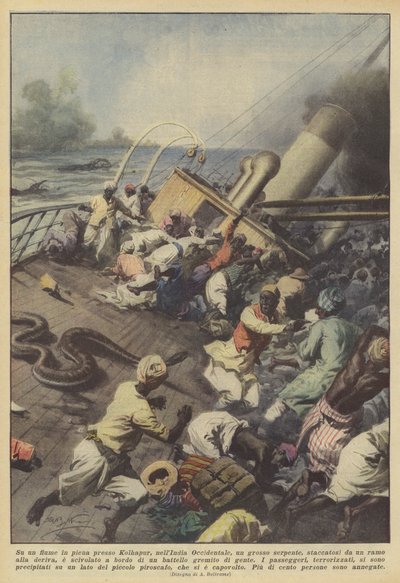 En un río crecido cerca de Kolhapur, en la India Occidental, una gran serpiente, desprendida... de Achille Beltrame
