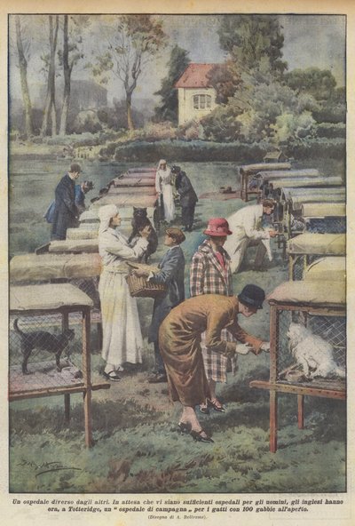 Un hospital diferente a los demás de Achille Beltrame