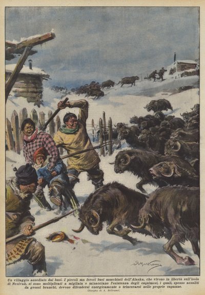 Un pueblo asediado por los bueyes de Achille Beltrame