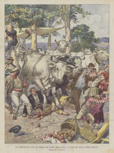 Una Emocionante Huida de Animales del Campo de la Feria en Castel del Piano, Cerca de Perugia de Achille Beltrame