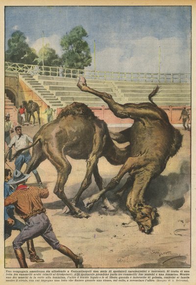 Una compañía americana está organizando en Constantinopla una serie de espectáculos característicos e incruentos de Achille Beltrame