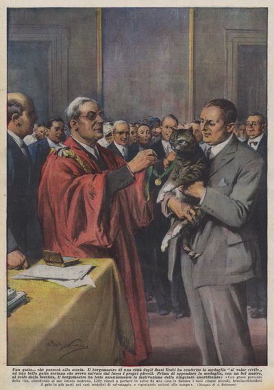 Una gata que pasará a la historia de Achille Beltrame