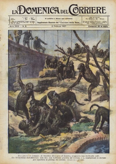Una guerra de monos de Achille Beltrame