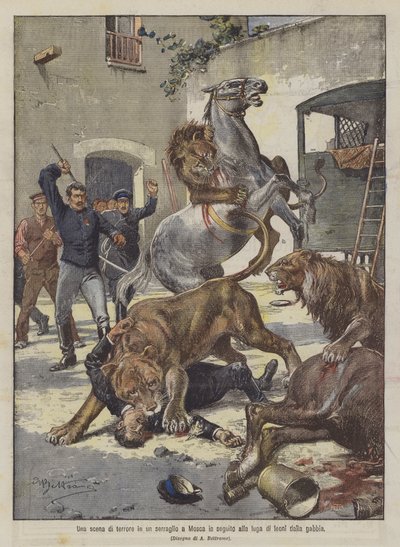 Una escena de terror en un serrallo en Moscú tras la fuga de leones de la jaula de Achille Beltrame