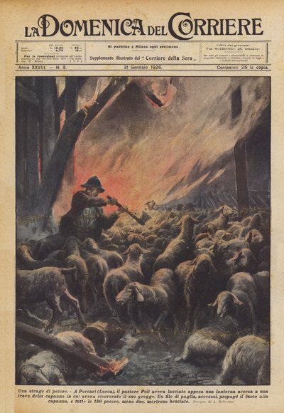 Una matanza de ovejas de Achille Beltrame