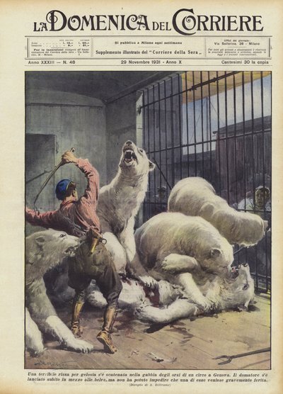 Una terrible pelea por celos se desató en la jaula de los osos de un circo en Génova de Achille Beltrame