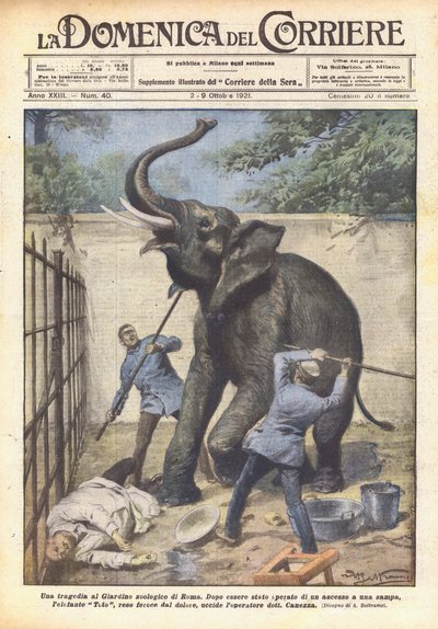 Una tragedia en el zoológico de Roma de Achille Beltrame