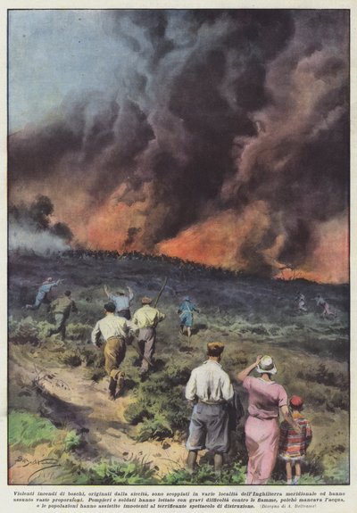 Violentos incendios forestales, originados por la sequía, han estallado en varias localidades de Achille Beltrame