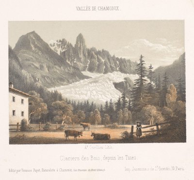 Vista de Chamonix y Mont Blanc desde el norte Chamonix y el Mont Blanc. Côte du Nord (título sobre objeto) Memoria de Chamonix-Mont-Blanc (título de serie) Museo del Mont Blanc (título de la serie) de Ad. Cuvillier