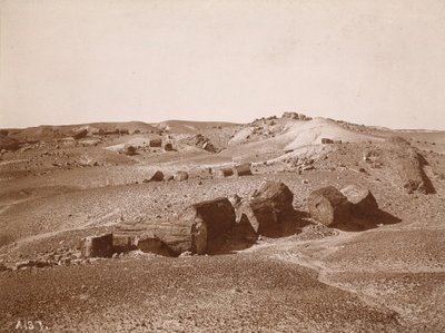 En el Bosque Petrificado (Vista general, Middle Park),c.1895-1897 (foto) de Adam Clark Vroman