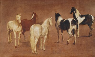 Estudio de cinco caballos de Adam Frans van der Meulen