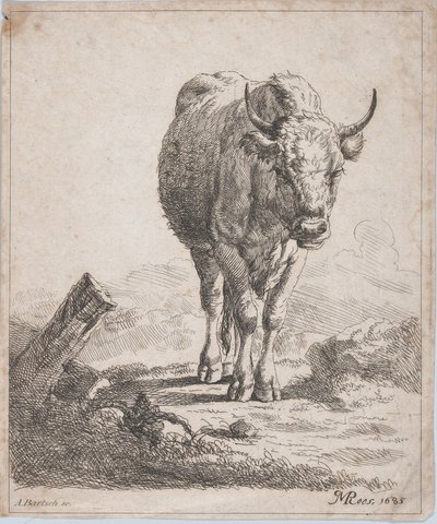 Una vaca, vista desde el frente, 1805 de Adam von Bartsch