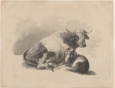 Vaca y cabra acostadas de Adam von Bartsch