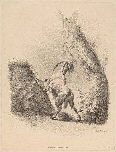 Cabra en un Paisaje de Adam von Bartsch