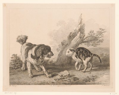 Perro y gato en posición de pelea uno contra el otro Animales según pinturas de maestros holandeses (título de la serie) Différens animaux graves d