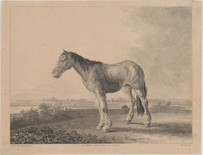 Caballo de pie en un campo de perfil a la izquierda, 1809 de Adam von Bartsch