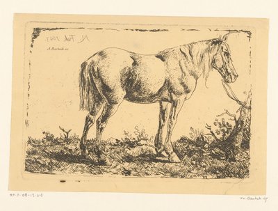Caballo en un árbol de Adam von Bartsch