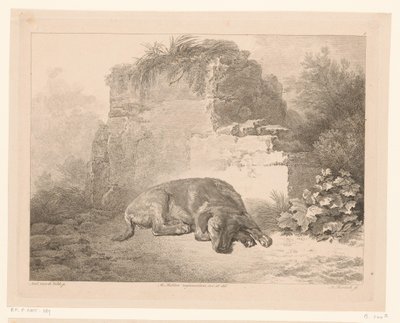 Perro durmiendo frente a una pared Animales según pinturas de maestros holandeses (título de la serie) Différens animaux graves d