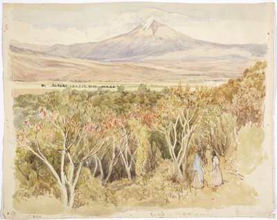 El volcán Popocatépetl desde Yautepec, Estado de Morelos, México de Adela Breton
