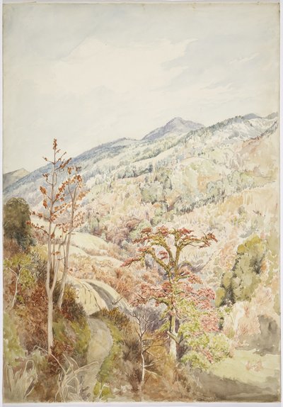 Valle boscoso - Cuetzalan, Puebla, Golfo de México de Adela Breton