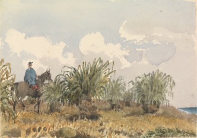 Tussac Grass, Islas Malvinas de Admiral Sir Edward Gennys Fanshawe