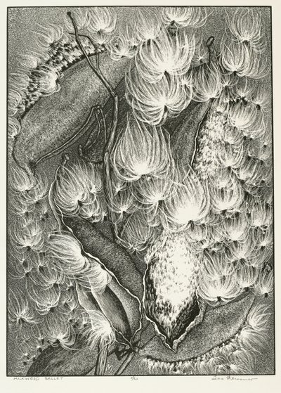 Ballet de Algodoncillo de Adolf Ernst Meissner