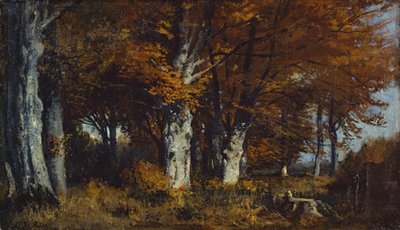 Bosque de hayas en otoño de Adolf Heinrich Lier