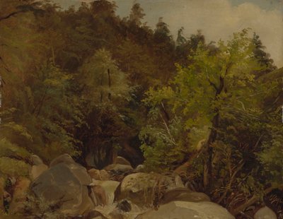 Cascada cerca de Ohlstadt de Adolf Heinrich Lier