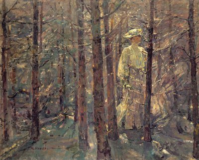Mujer en un bosque, 1906 de Adolf Hoelzel