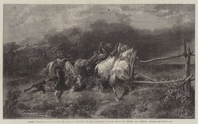 Caballos escapando de un incendio de Adolf Schreyer