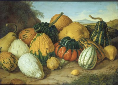 Gran bodegón de calabazas de Adolf Senff