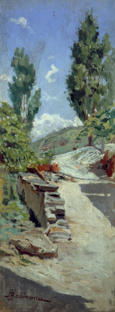 Camino en las colinas de Adolfo Belimbau